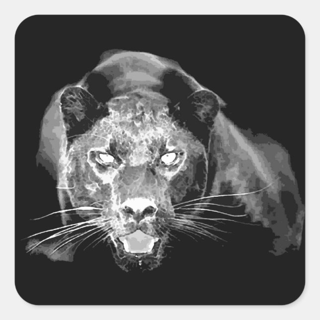 Black & White Jaguar Square Sticker (Front)