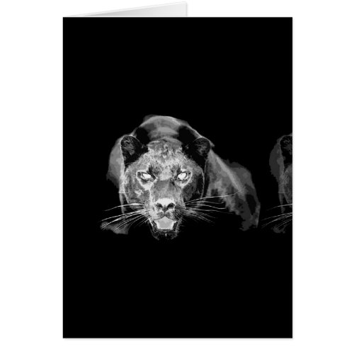 Black  White Jaguar _Wild Cats Cards For Sale