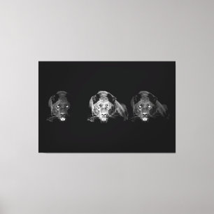 Black & White Jaguar Wrapped Canvas - 3 Canvases S Print