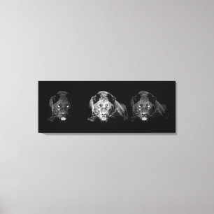 Black & White Jaguar Wrapped Canvas Print