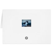 Black + White Kitten (Back Horizontal)