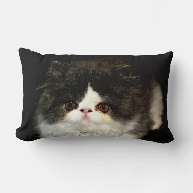 Black White Kitten black white cute cat Lumbar Pillow (Front)