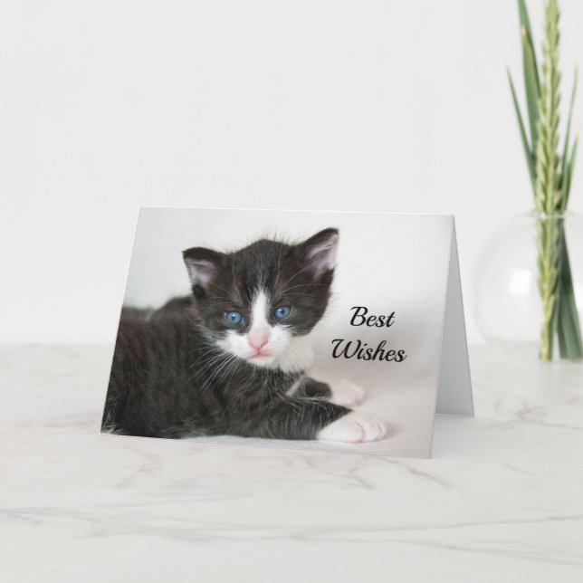 Black White Kitten Congratulations Wedding Card (Front)