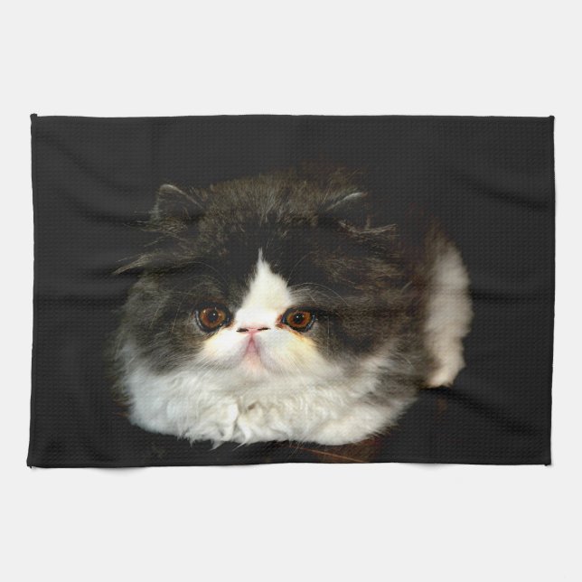 Black White Kitten fluffy cat Kitchen Towel (Horizontal)