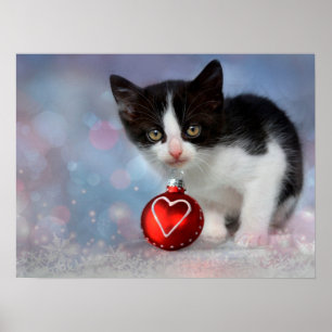 Black & White Kitty Cat Customizable Poster