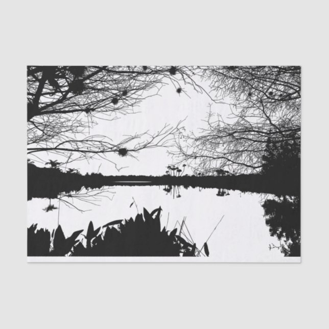 Black & White Landscape Tissue Paper (Front)