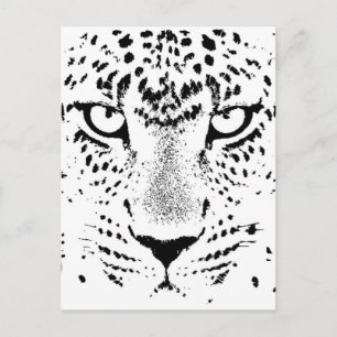 Black & White Leopard Eyes Postcard