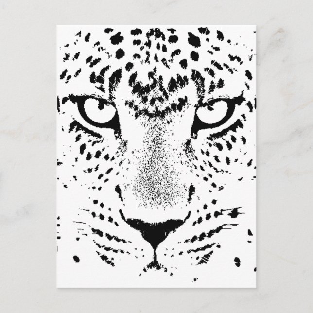 Black & White Leopard Eyes Postcard (Front)