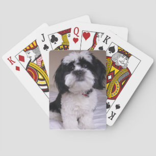 Black & White Lhasa Apso Playing Cards
