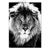 Black & White Lion (Front)