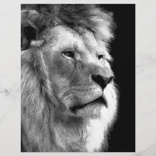 Black White Lion (Front)