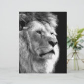 Black White Lion (Standing Front)