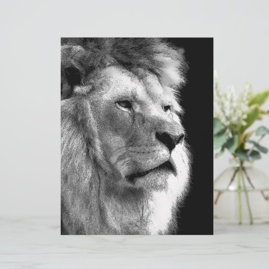 Black White Lion (Standing Front)