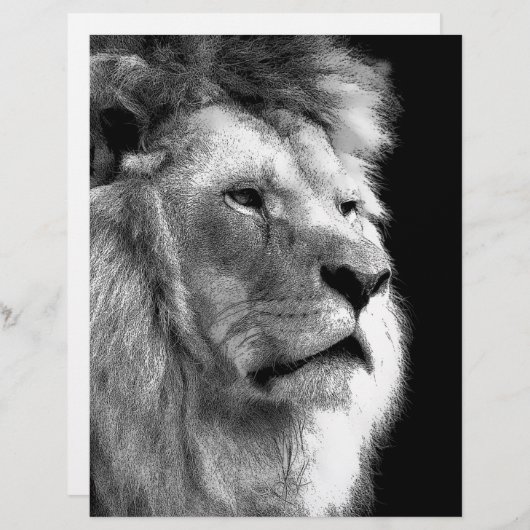 Black White Lion (Front/Back)