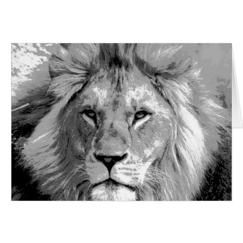 Black White Lion