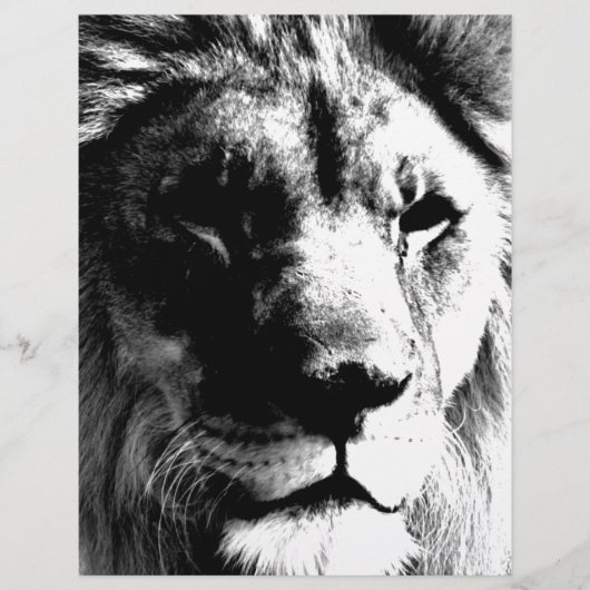 Black & White Lion (Front)