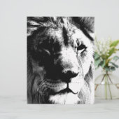 Black & White Lion (Standing Front)