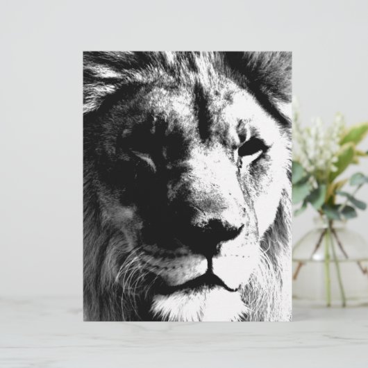 Black & White Lion (Standing Front)