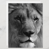 Black & White Lion (Front/Back)