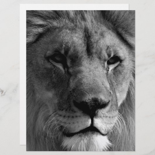 Black & White Lion (Front/Back)