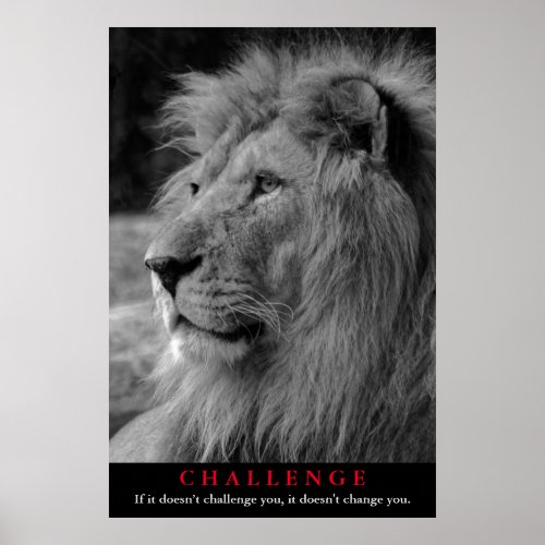 Black  White Lion Animal Motivational Challenge Poster