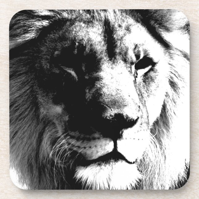 Black & White Lion Beverage Coaster (Front)