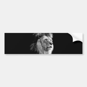 Black White Lion Bumper Sticker
