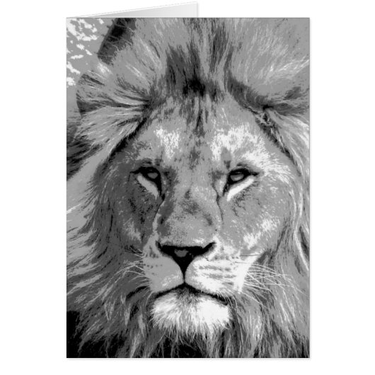 Black White Lion Cards (Front)
