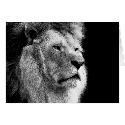 Black White Lion Cards (Front Horizontal)
