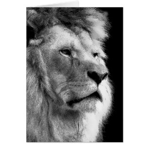 Black White Lion Cards