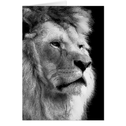 Black White Lion Cards (Front)