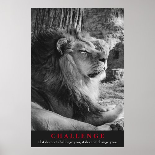 Black  White Lion Challenge Poster
