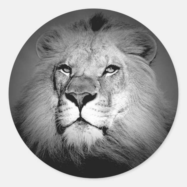 Black & White Lion Classic Round Sticker (Front)