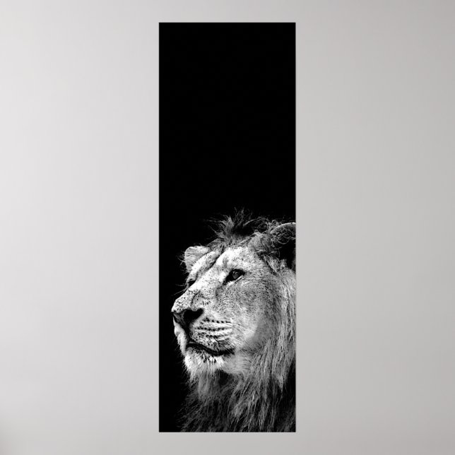 Black White Lion Door Poster - Animal Photography (Front)