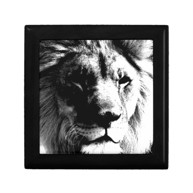 Black & White Lion Gift Box (Front)