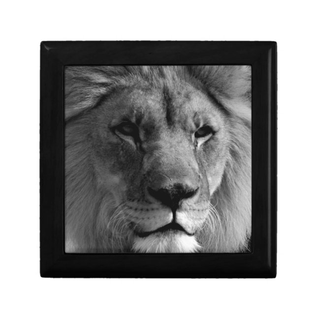 Black & White Lion Gift Box (Front)