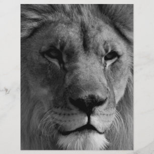 Black & White Lion Letterhead