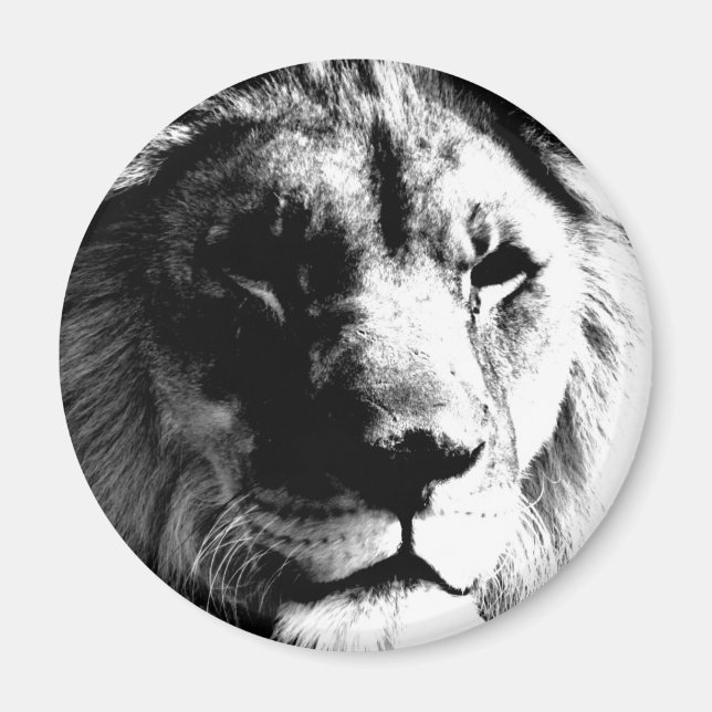 Black & White Lion Magnet (Front)