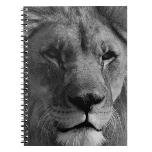 Black  White Lion Notebook