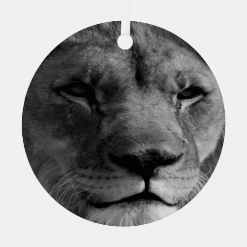 Black  White Lion Ornament