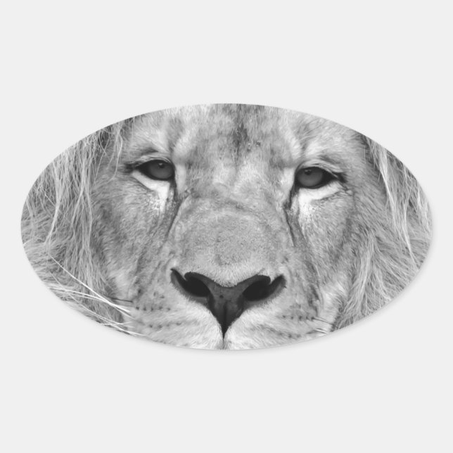 Black & White Lion Oval Sticker (Front)