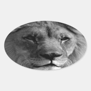 Black & White Lion Oval Sticker