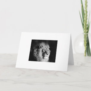 Black & White Lion Photo Card