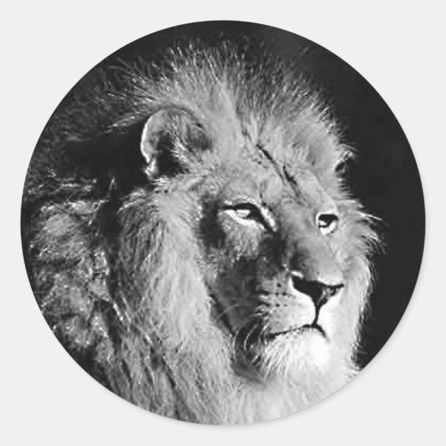 Black & White Lion Photo Classic Round Sticker (Front)