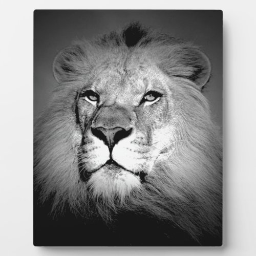 Black  White Lion Plaque