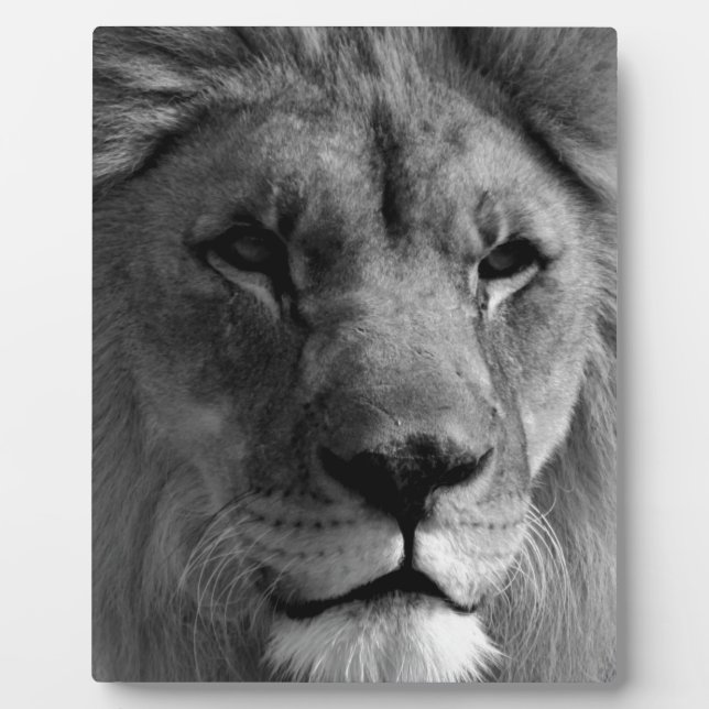 Black & White Lion Plaque (Front)