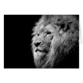 Black White Lion Portrait - Animal Photography (Front Horizontal)
