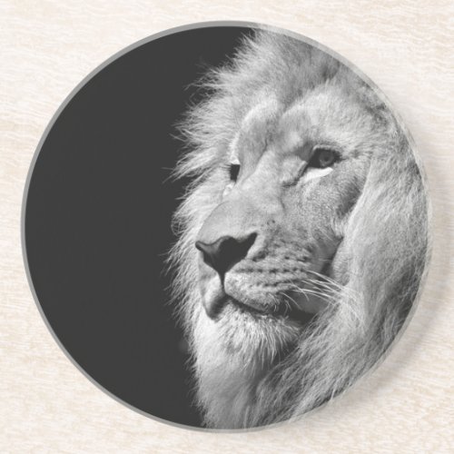 Black White Lion Portrait _ Animal Photography Drink Coaster