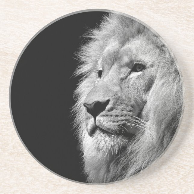 Black White Lion Portrait - Animal Photography Drink Coaster (Front)