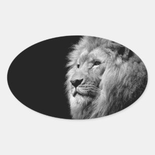 Black White Lion Portrait - Animal Photography Oval Sticker